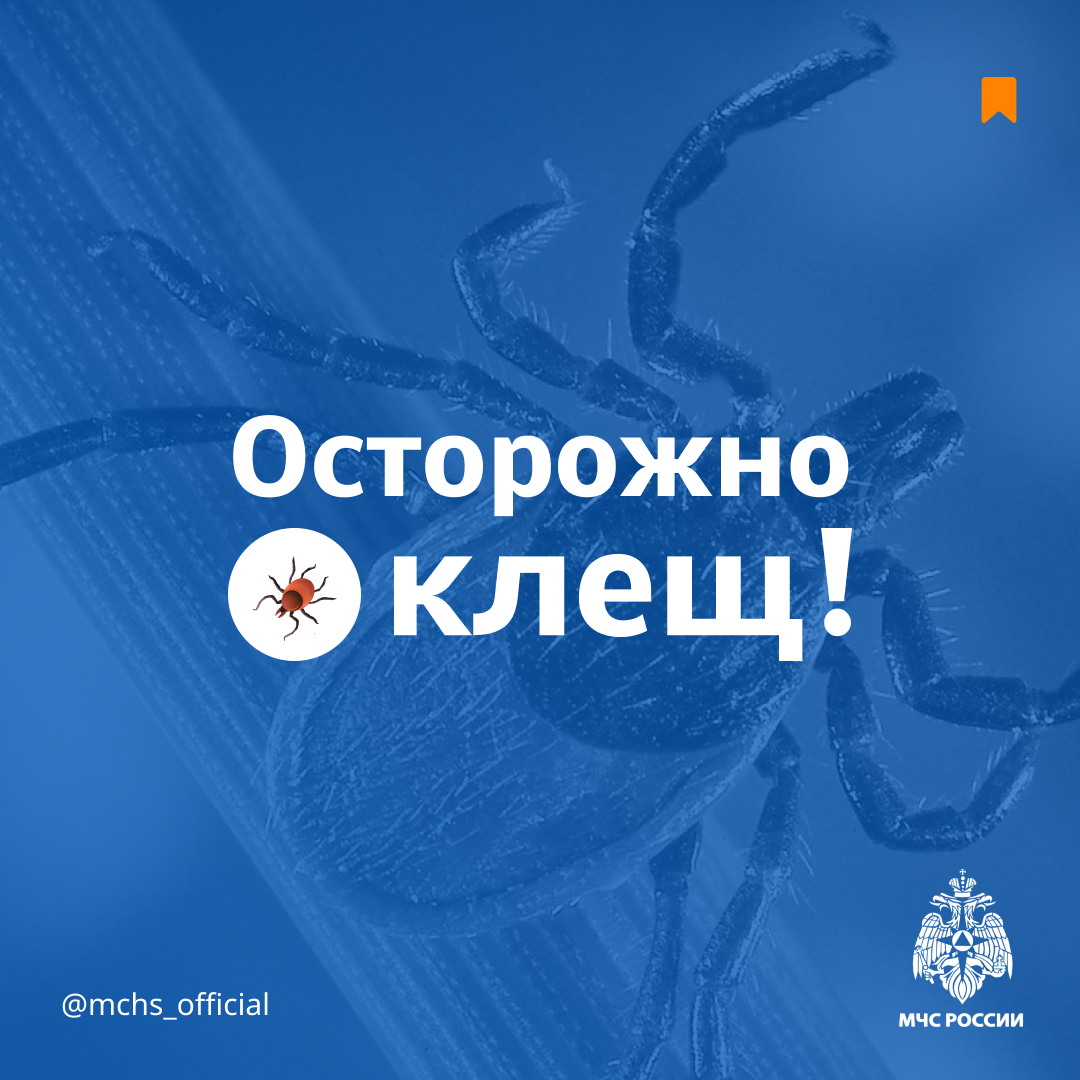 Осторожно, КЛЕЩ!.