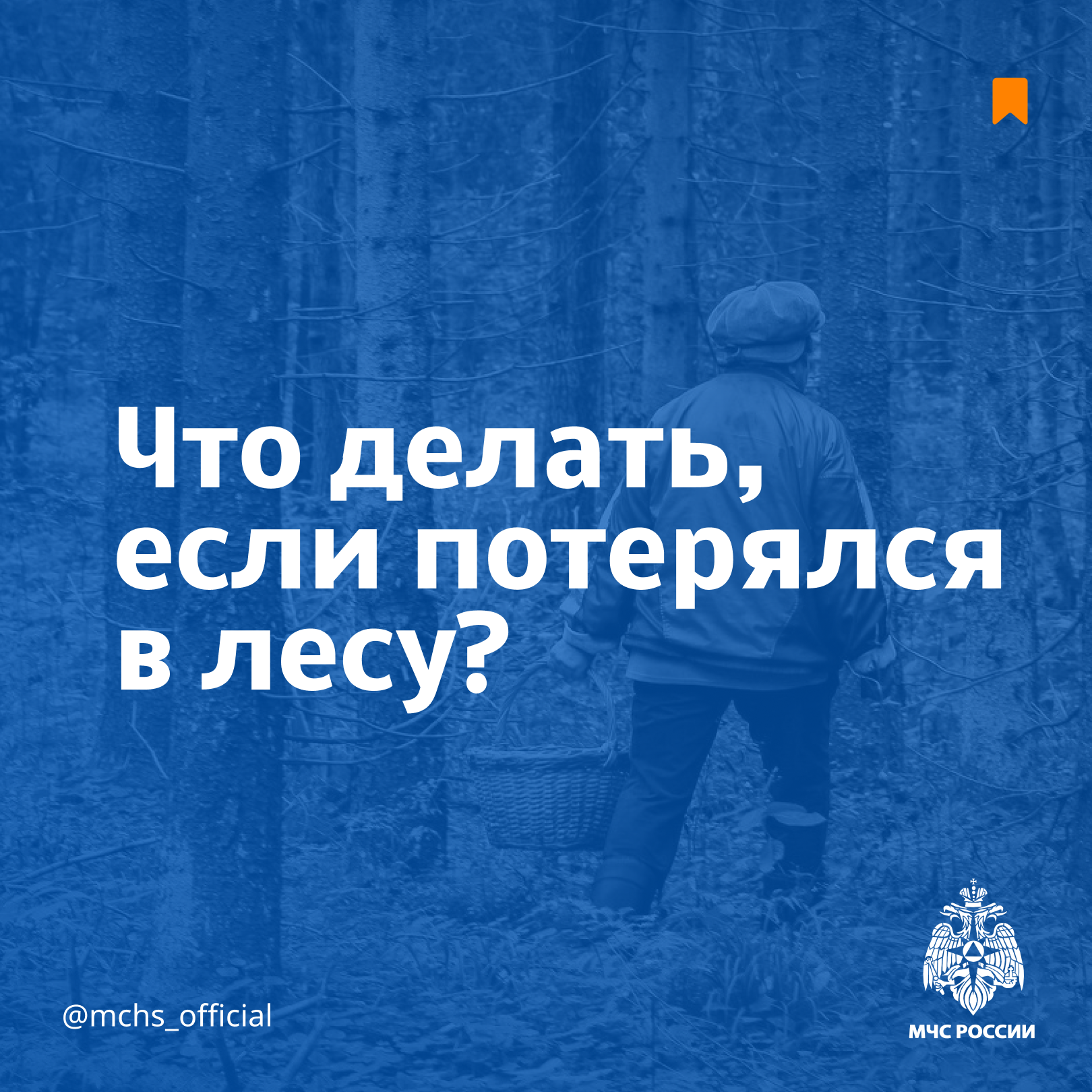 Что делать, если потерялся в лесу?.